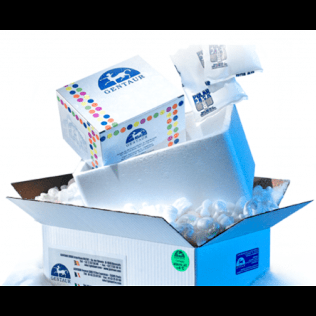 pCAMBIA2300, 2 ug