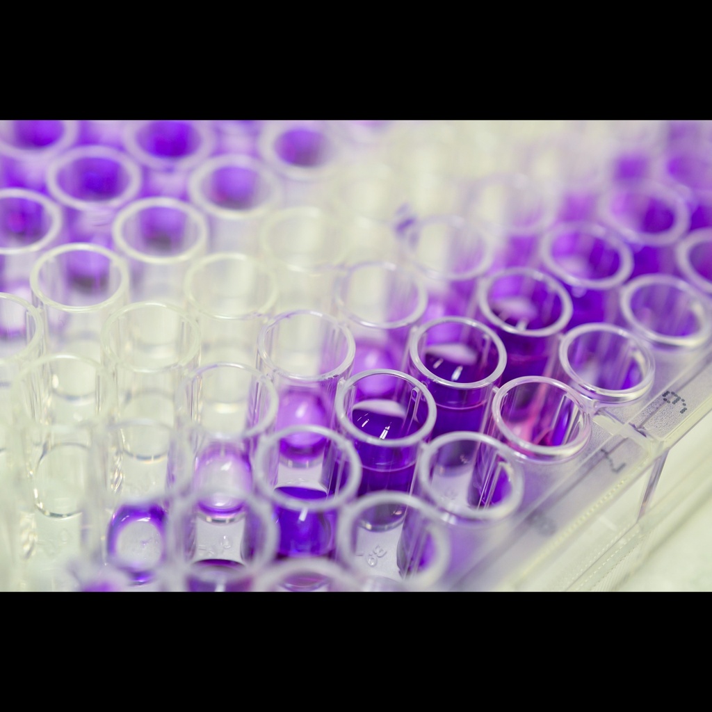 Human maresin 1 ELISA Kit, 96 test