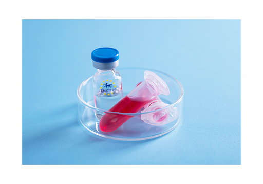[GEN - PYT384-1mg] TNF a Mutant Human