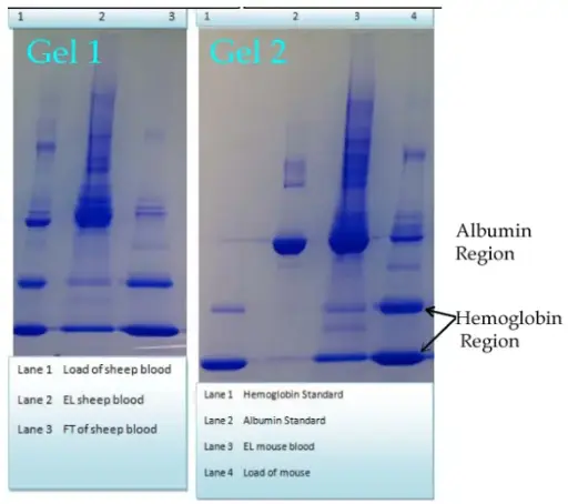 [0337-HBV-10] HemoVoid size: Hemoglobin Variant Enrichment Kit From Blood size: 10 preps